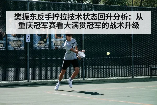 樊振东反手拧拉技术状态回升分析：从重庆冠军赛看大满贯冠军的战术升级